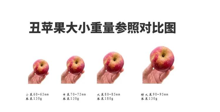 苹果70,80.90分别有多重
