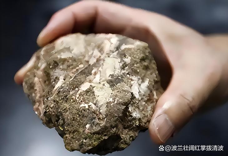 稀土未来10大妖股