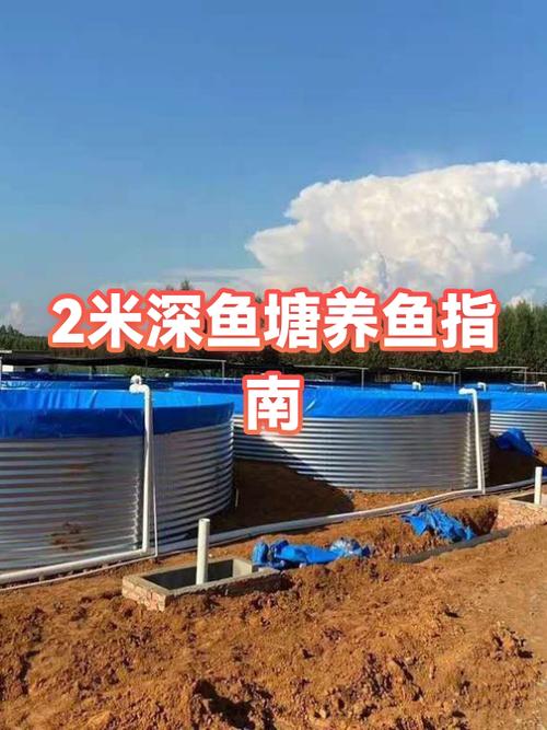 鱼塘养鱼赚钱吗缩略图