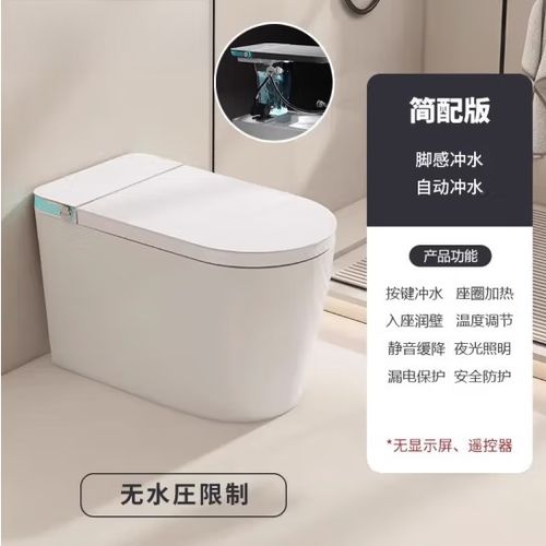 简配版智能马桶