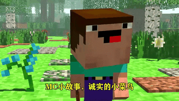 mc菜鸟的故事