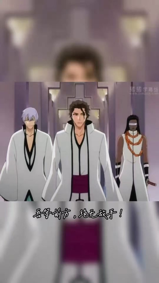 蓝染十刃
