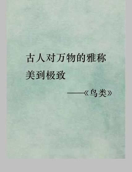 消遣的雅称截图