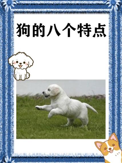 小狗的特性是什么