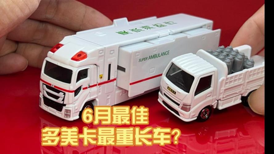 多美卡最长的车