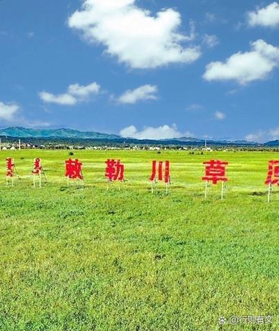 有首歌叫什么草三个字图标