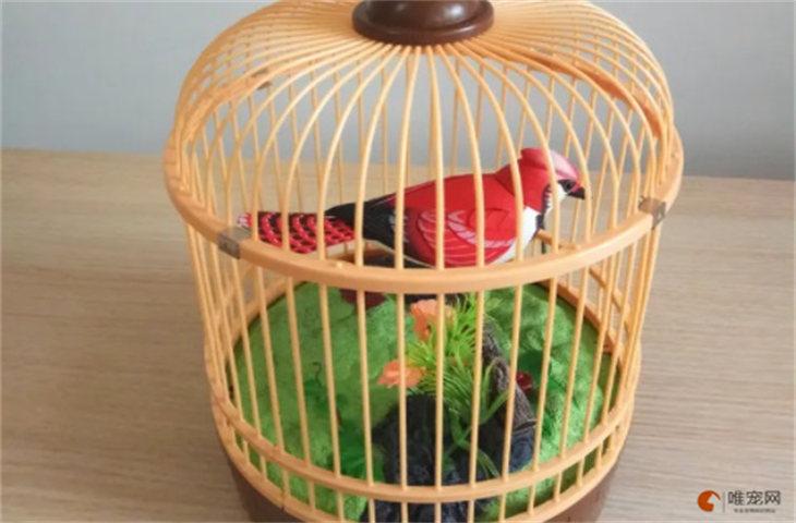 鹦鹉笼里放什么玩具好缩略图