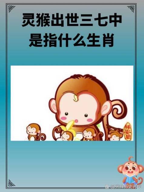 美猴王打一准确生肖