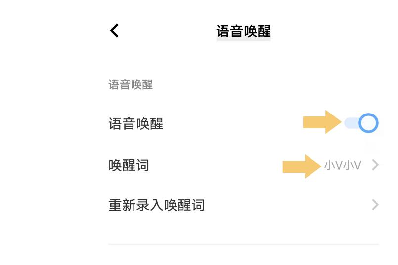 语音小v怎么打开图标