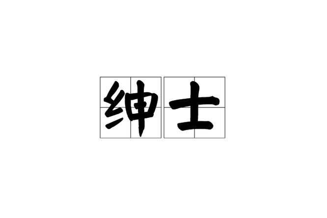 赞美绅士的词语