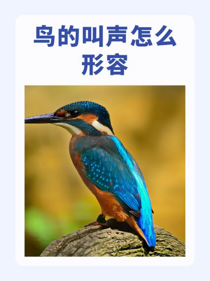 怎么用手吹出鸟叫声