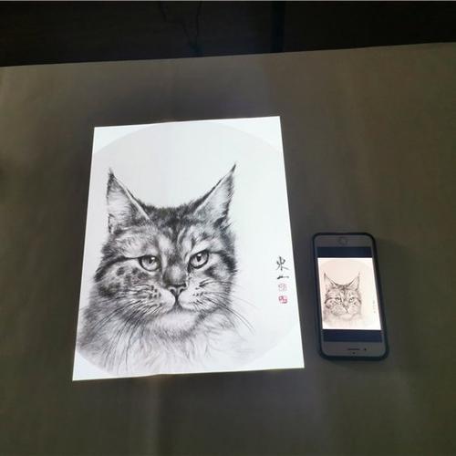 美术绘画投影仪截图