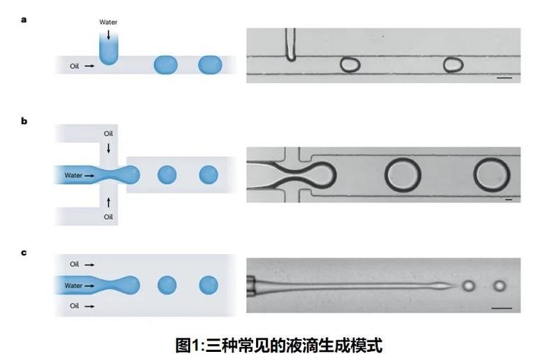 stream抓包软件的功能