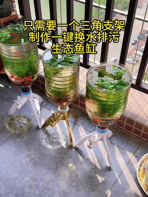 怎样做鱼缸自动循环水