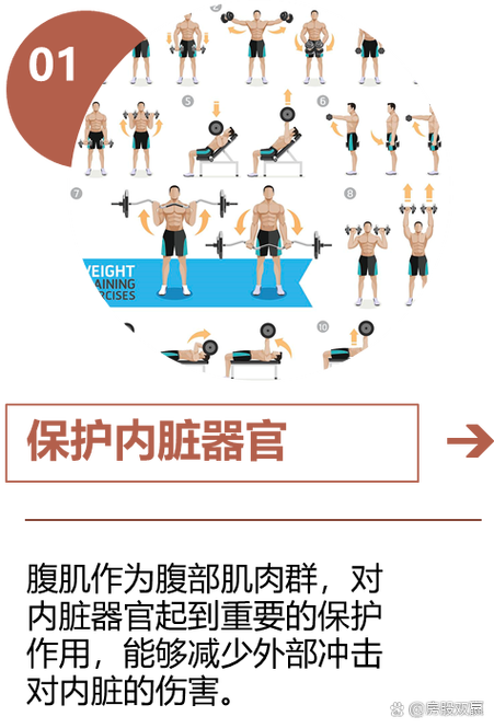 为什么天天锻炼身体是错误的