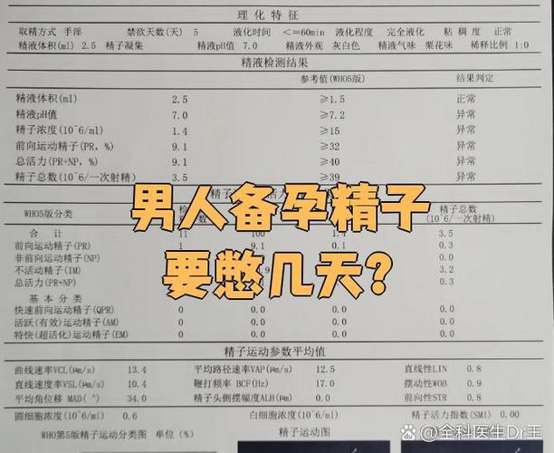 男性备孕精子要攒几天