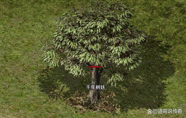 封魔谷千年树妖多久刷一次