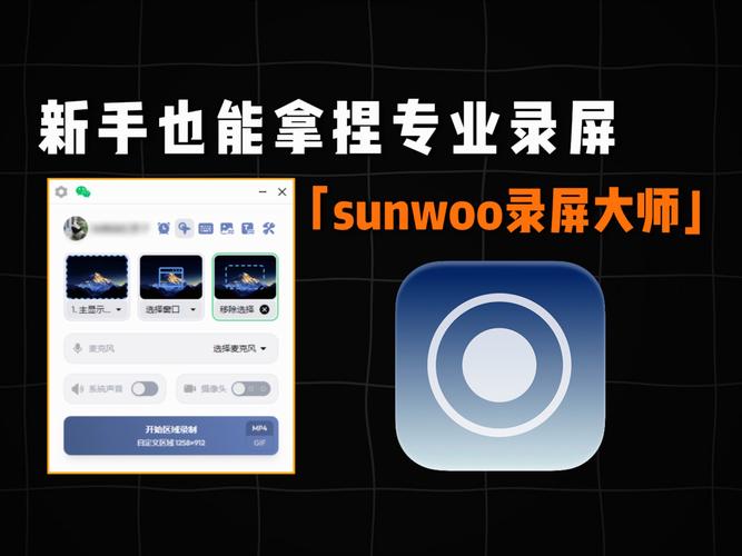 sunwoo录屏大师