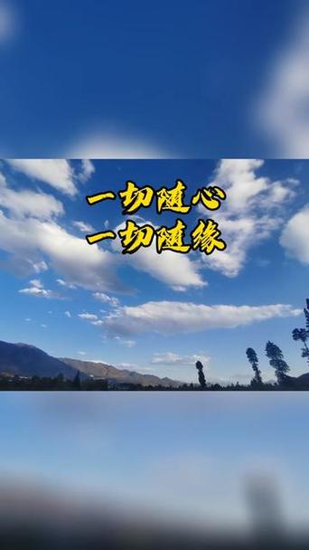 随缘随性随心出自哪里