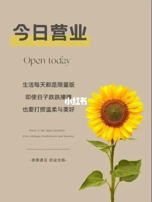 关于限量版的文案