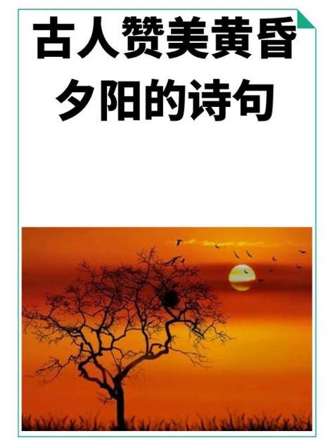 回敬别人赞美的诗句