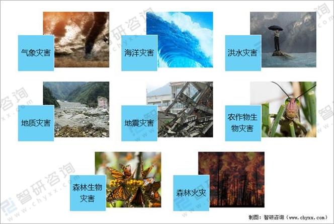 2021年有什么灾难
