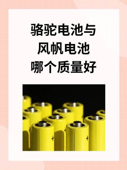 小电同学电池质量如何