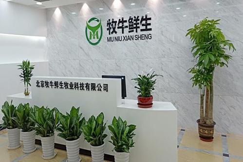 牧牛帮什么公司的