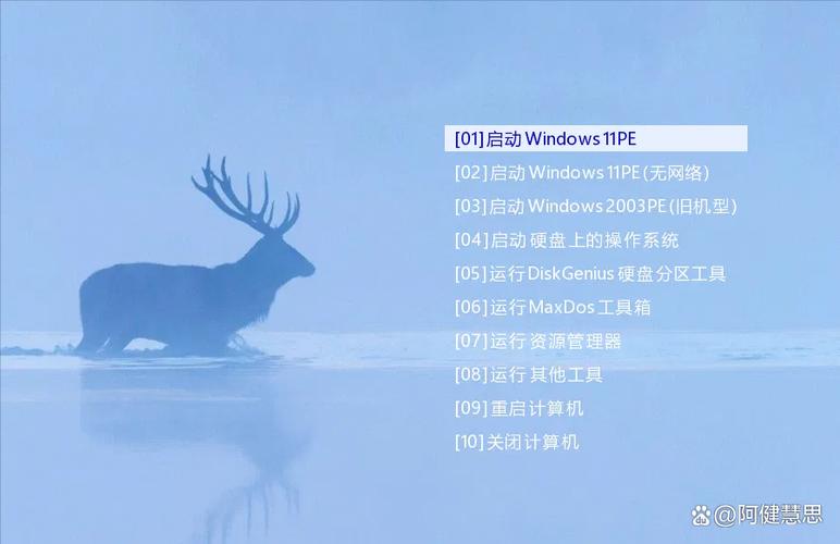 FirPE-V.9.1.img镜像截图