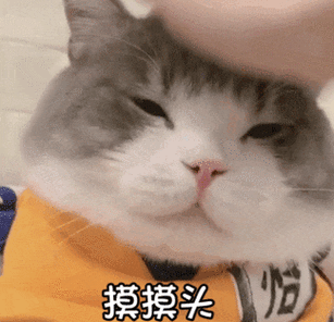 摸摸扎表情包