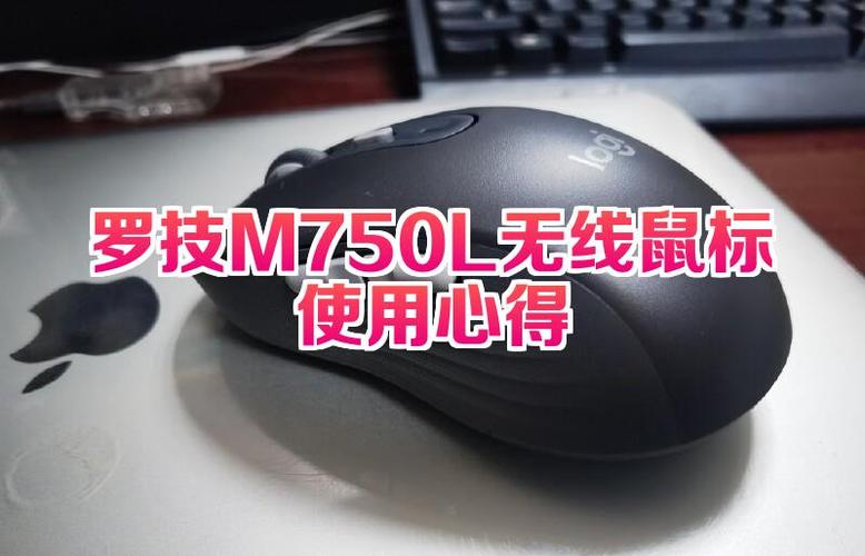 无线鼠标有时候会卡顿截图