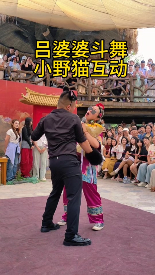 《小野猫》舞蹈视频