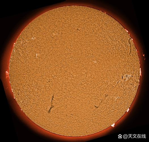 太阳GG只在772332