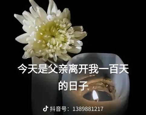 记录爸爸离开多少天的软件