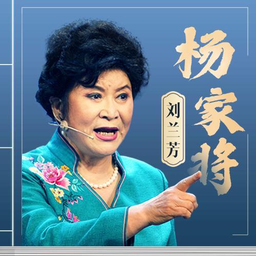 杨家将136回完整版