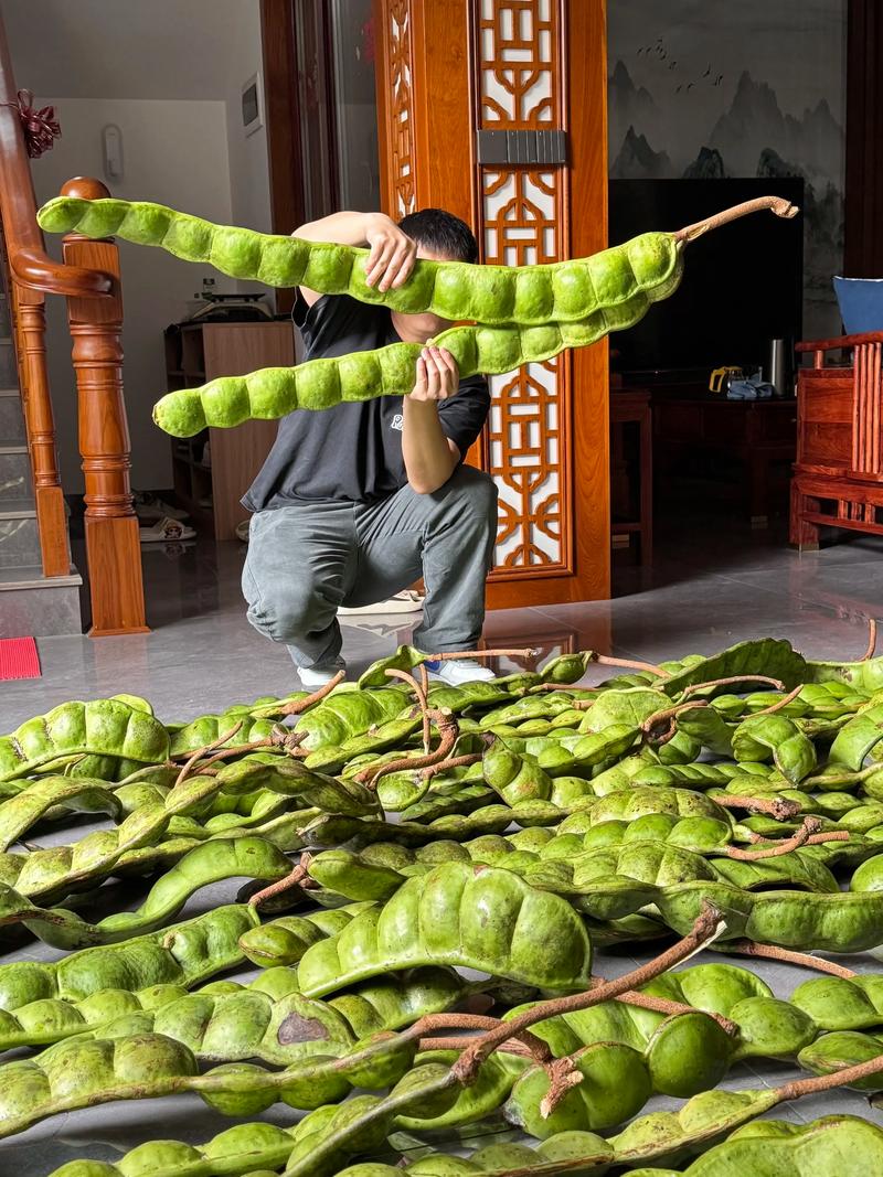 豆荚app下载
