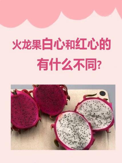 糖影cp为什么一个白心一个红心呢