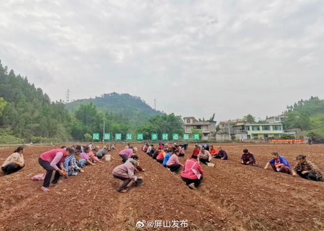 实验基地是干嘛的