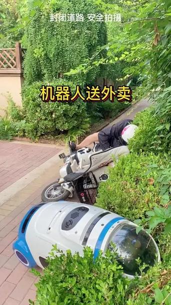 搞笑的机器人