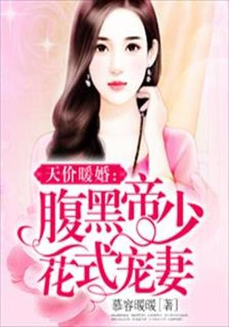 天价暖婚腹黑帝少花式宠妻