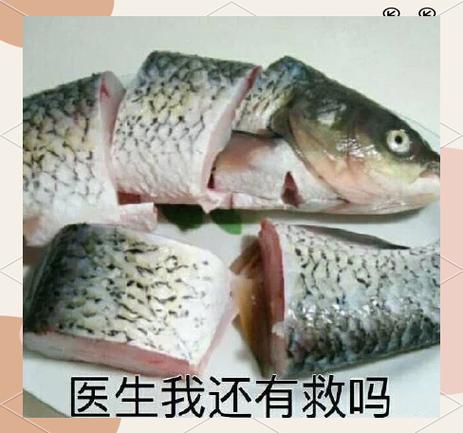 医生我还有救吗表情包