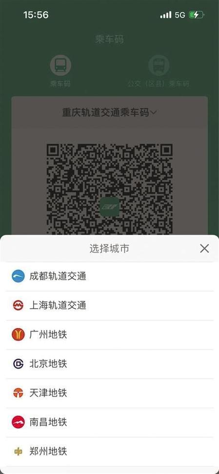 渝畅行苹果版截图