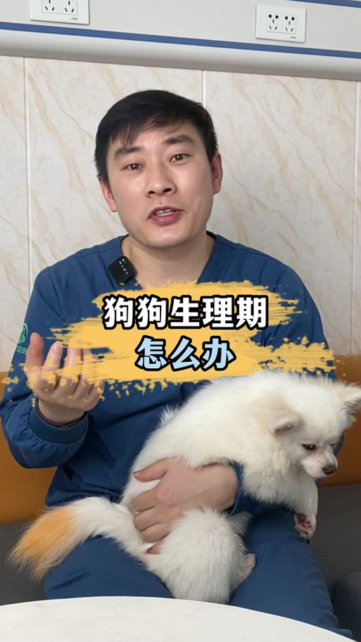 狗狗回血一般几天