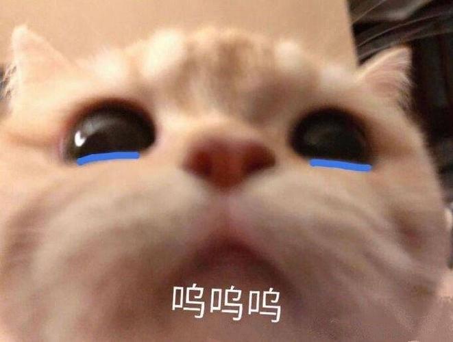 呜呜呜图片表情包