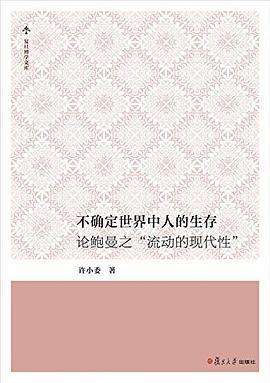 我的世界阿浪哥雾中人
