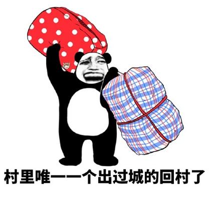 回农村表情包