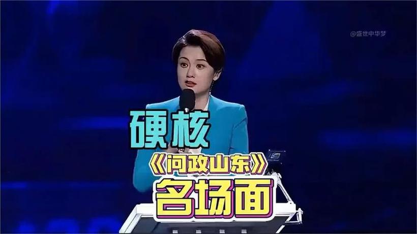 问政山东2025全集截图