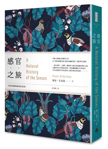 sense的各种词性变化