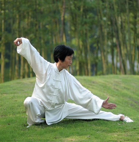 太极app官网taichi