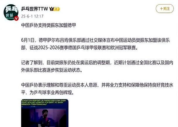 樊振东一月工资截图